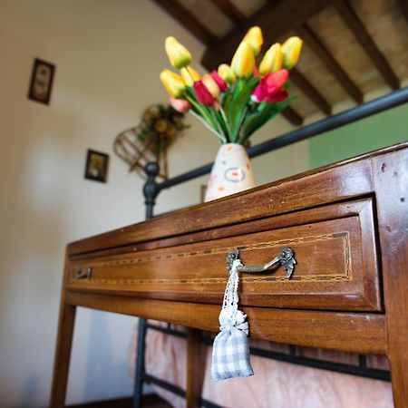 Agriturismo Biagiotti Abbadia San Salvator Ngoại thất bức ảnh