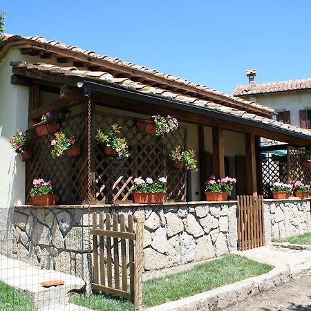 Agriturismo Biagiotti Abbadia San Salvator Ngoại thất bức ảnh