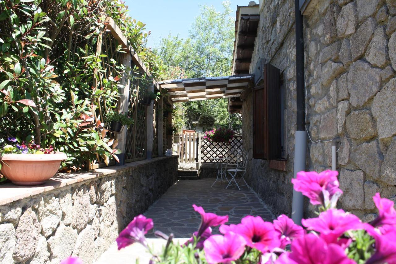 Agriturismo Biagiotti Abbadia San Salvator Ngoại thất bức ảnh