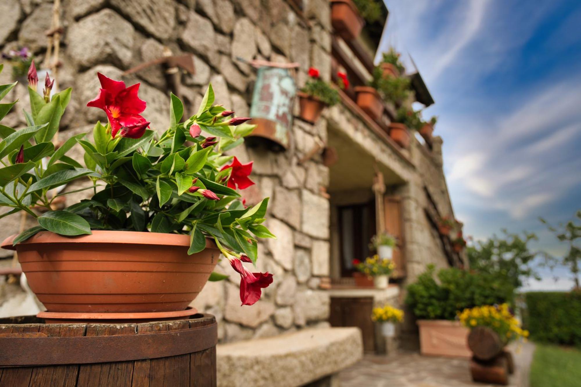 Agriturismo Biagiotti Abbadia San Salvator Ngoại thất bức ảnh